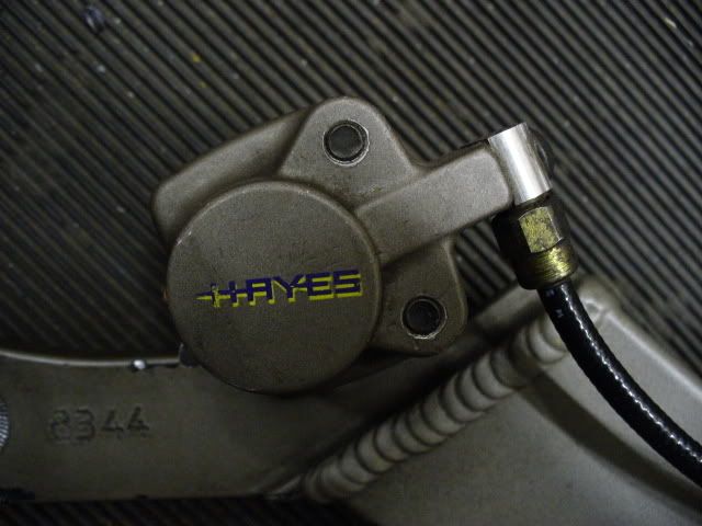P1000773.jpg