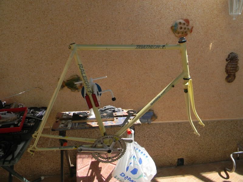 DSCN2199.jpg