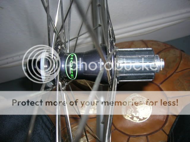 DSCN5431.jpg