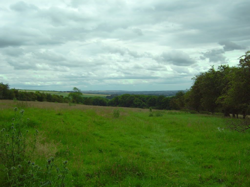 IMG00426.jpg