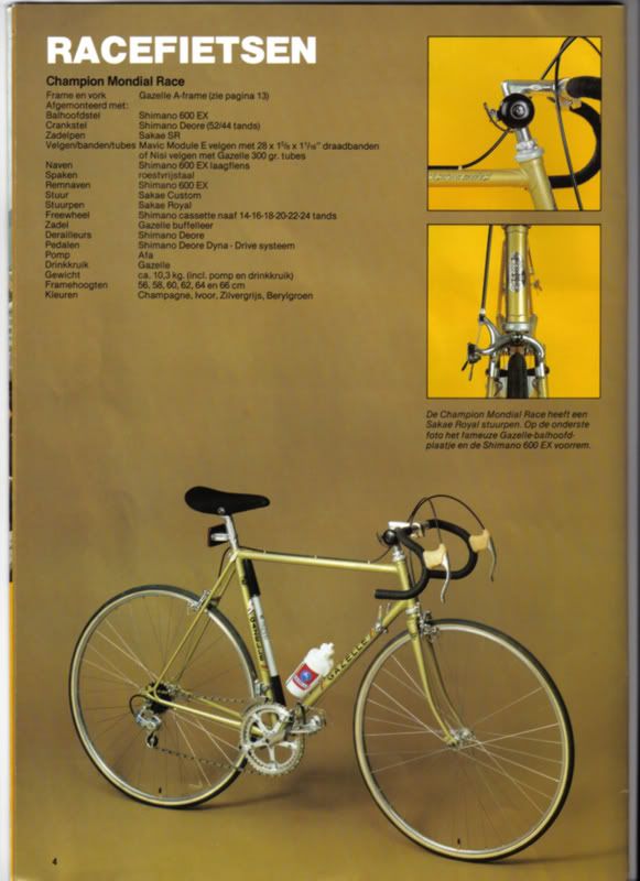 gazelle3.jpg