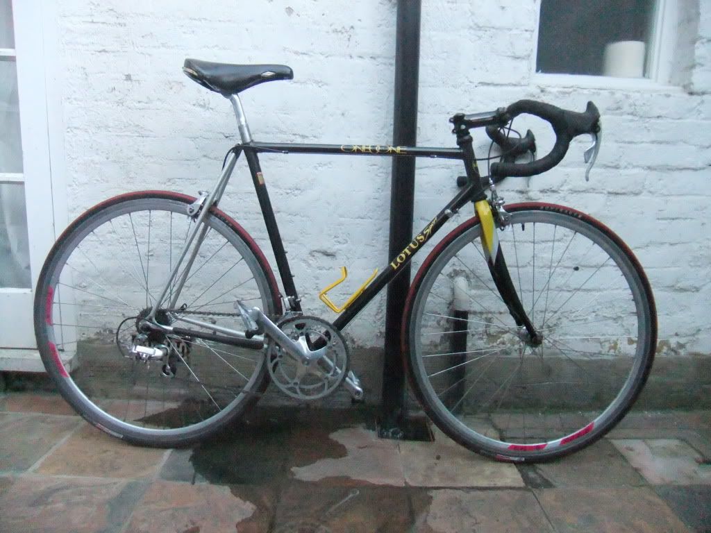 lotusbike002.jpg