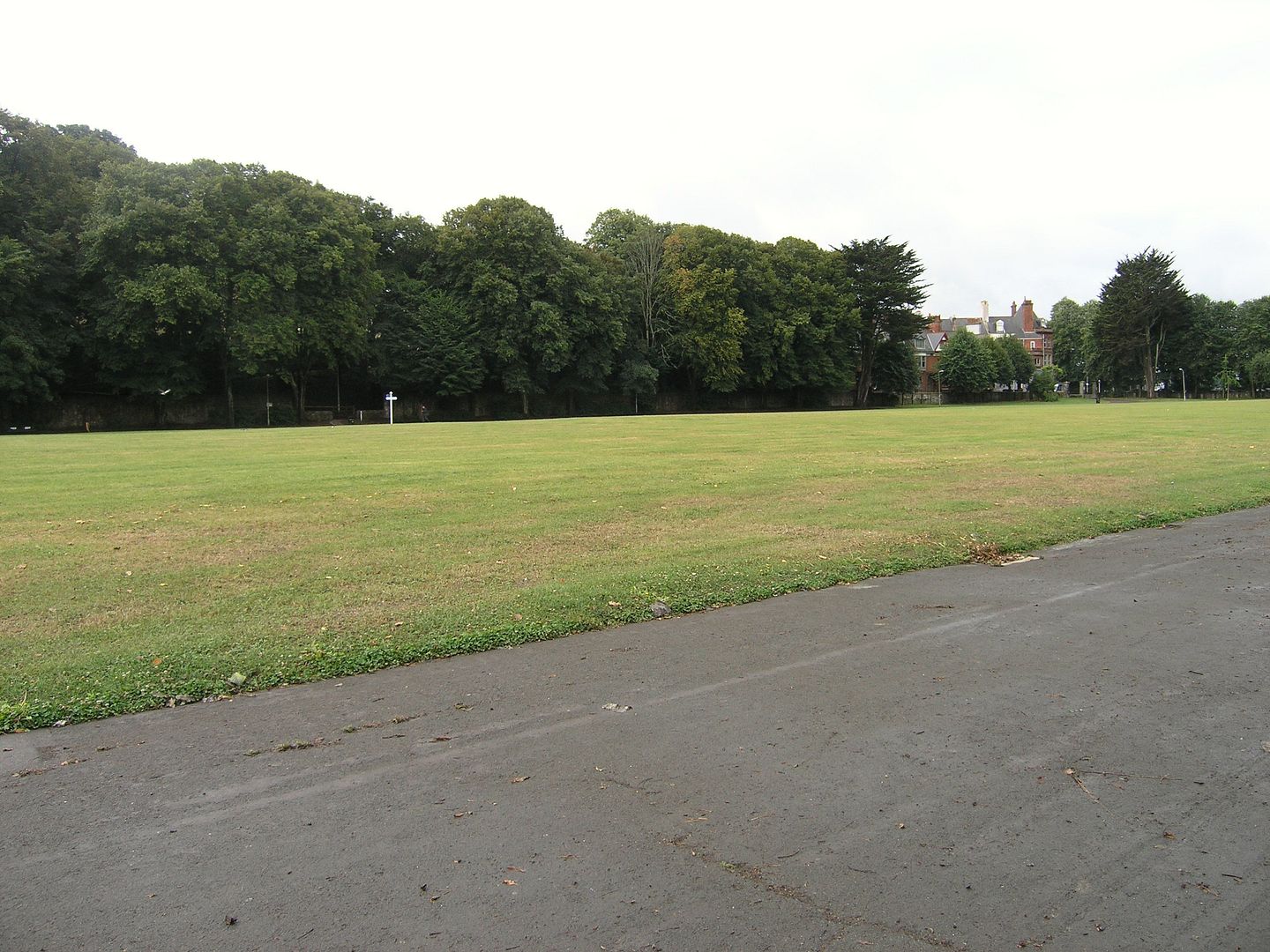 P8020446_zps5253c943.jpg