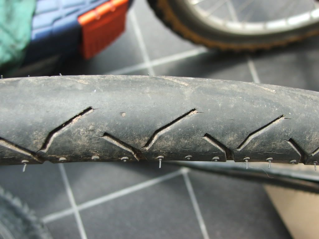 DSCF7862.jpg