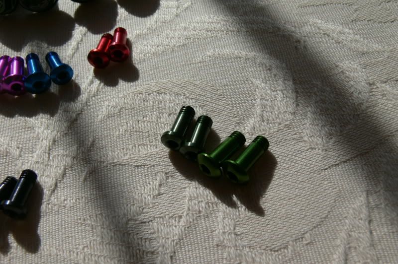 P1020108.jpg