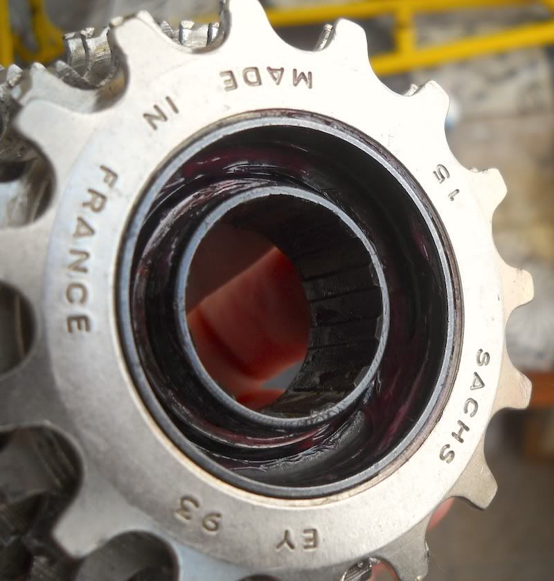 Freewheel09.jpg