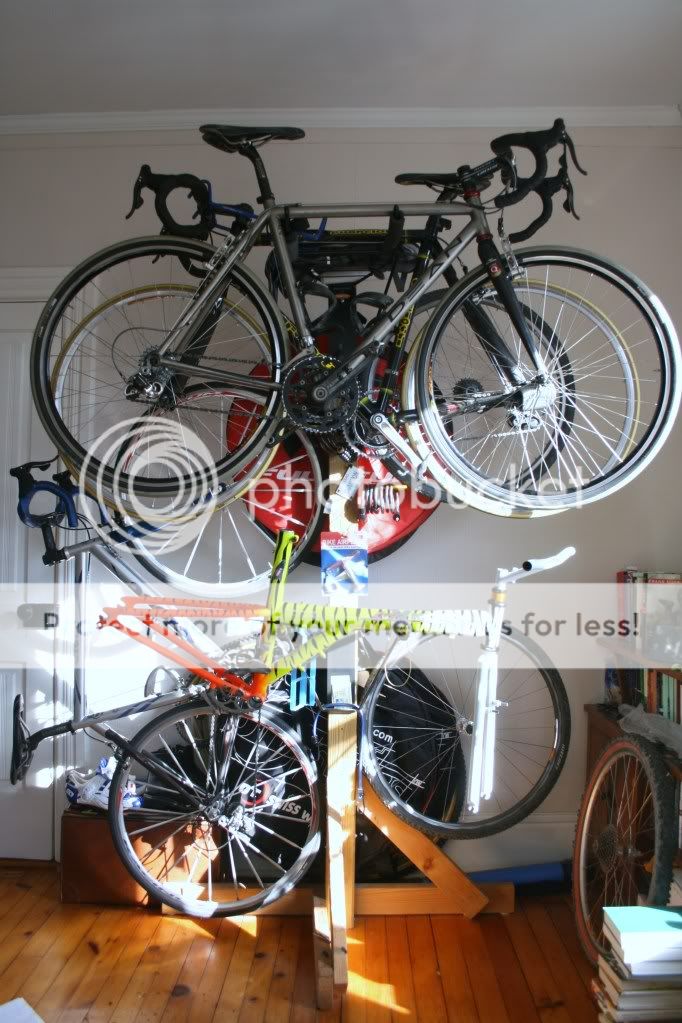 biketree.jpg