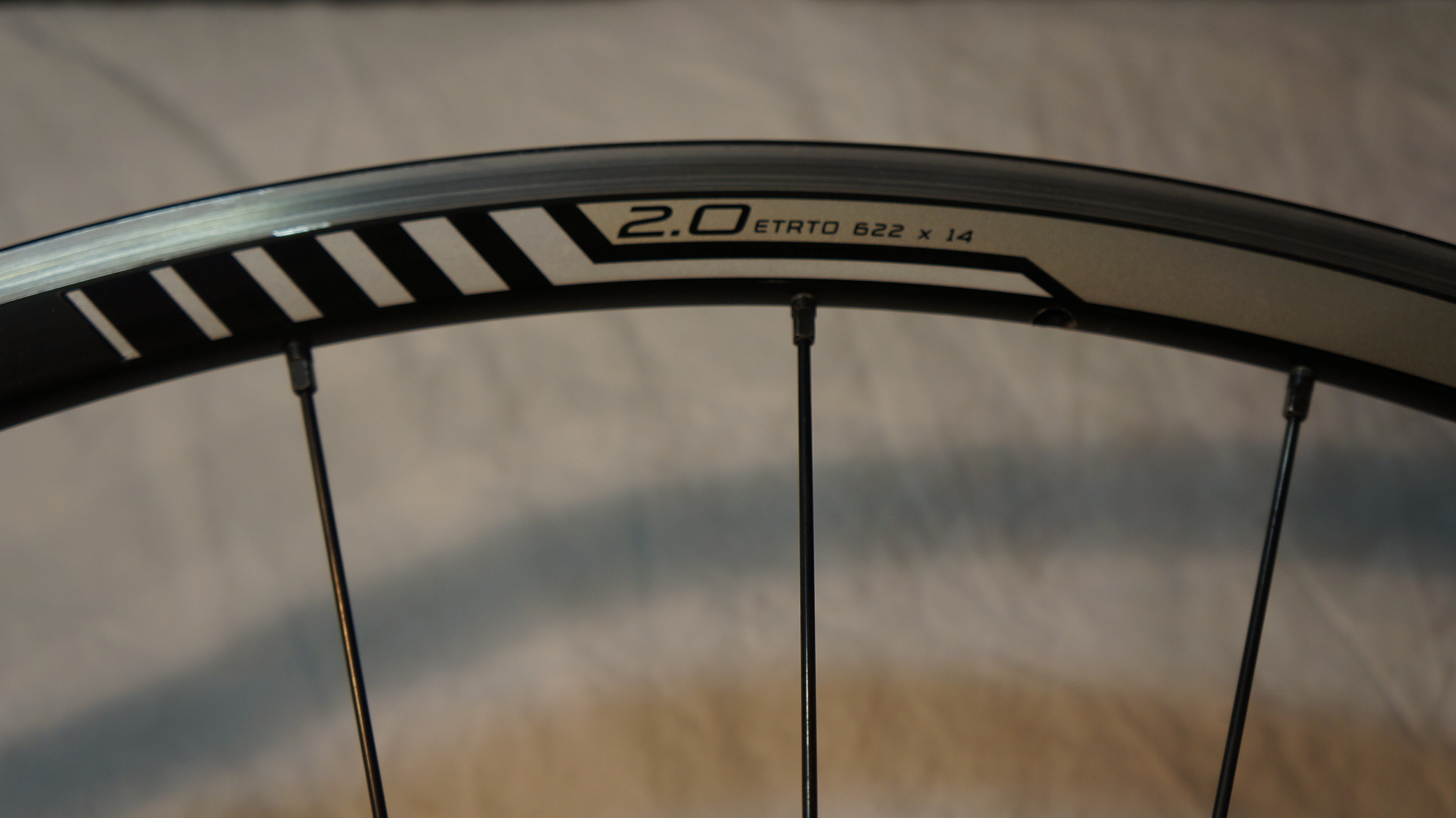 dt swiss etrto 622x14