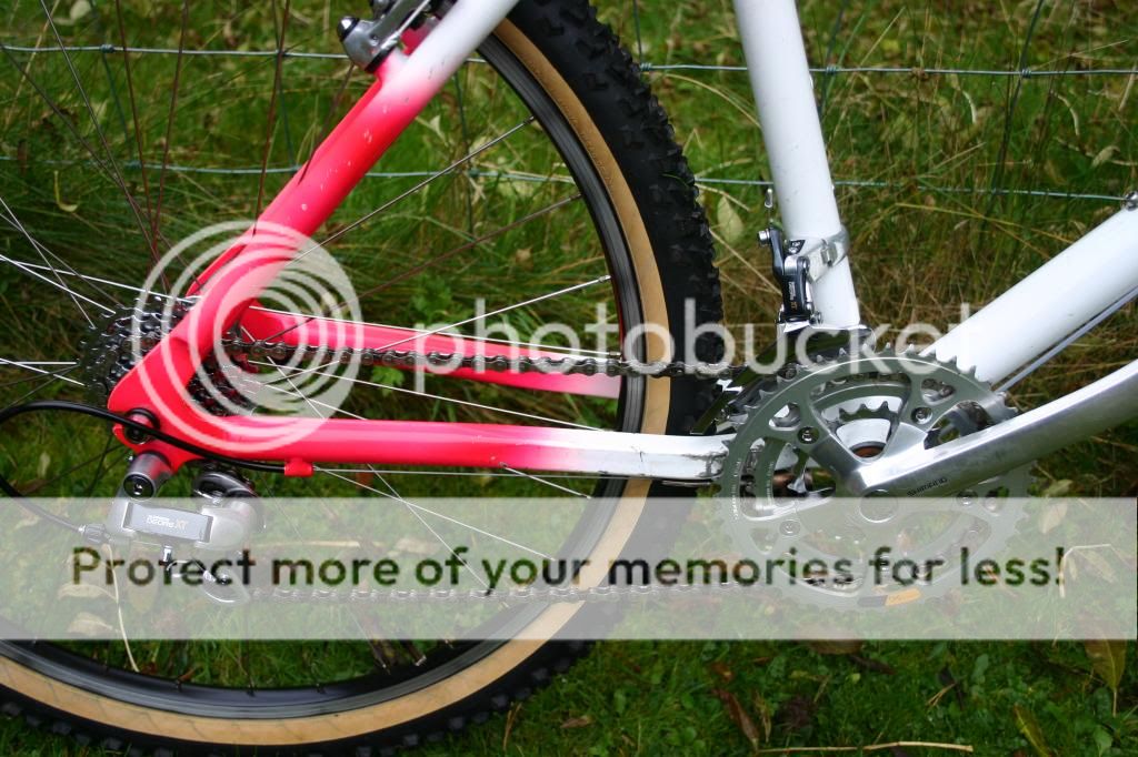 IMG_4985_zps96586fe5.jpg