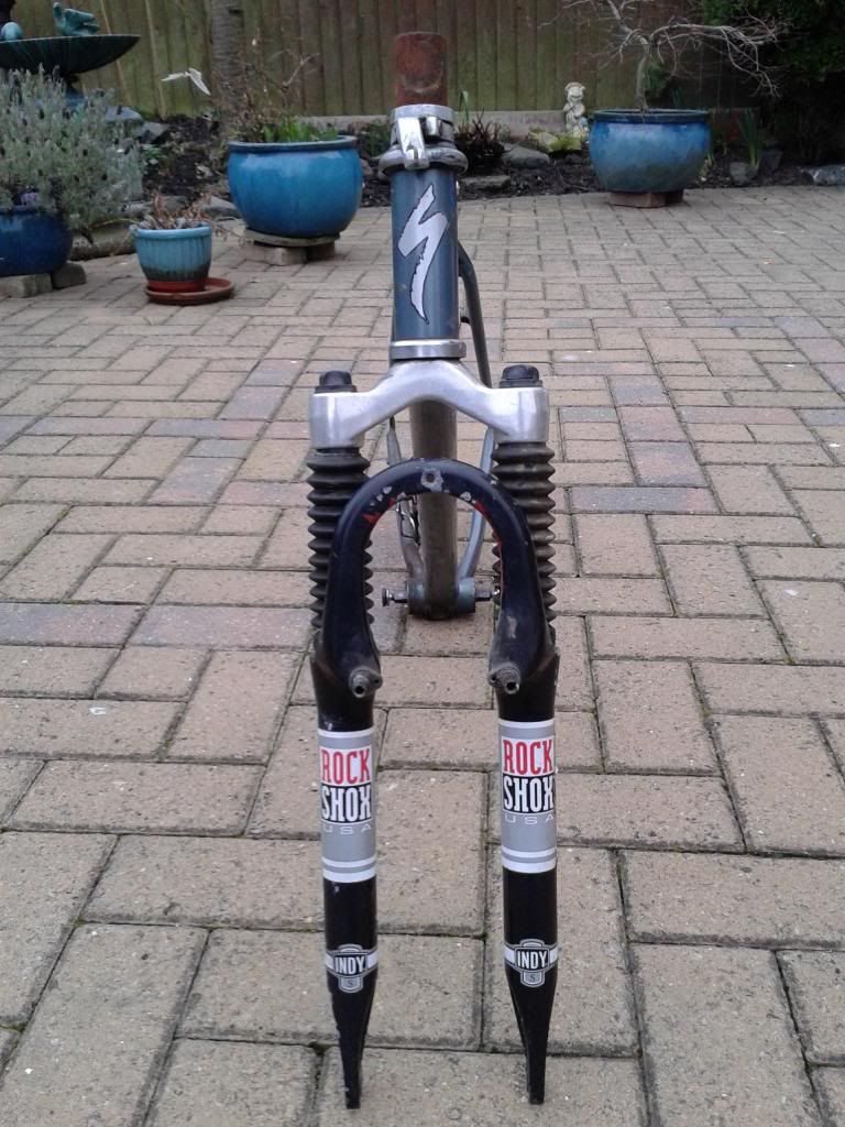2013-02-22155519.jpg