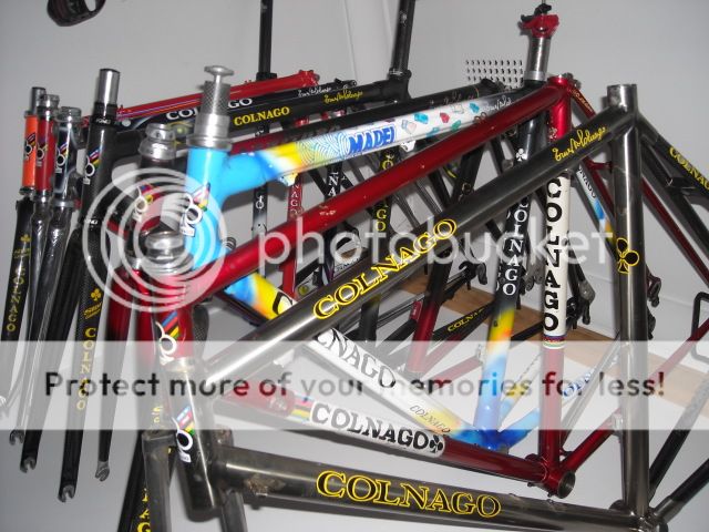 DSCN1427.jpg