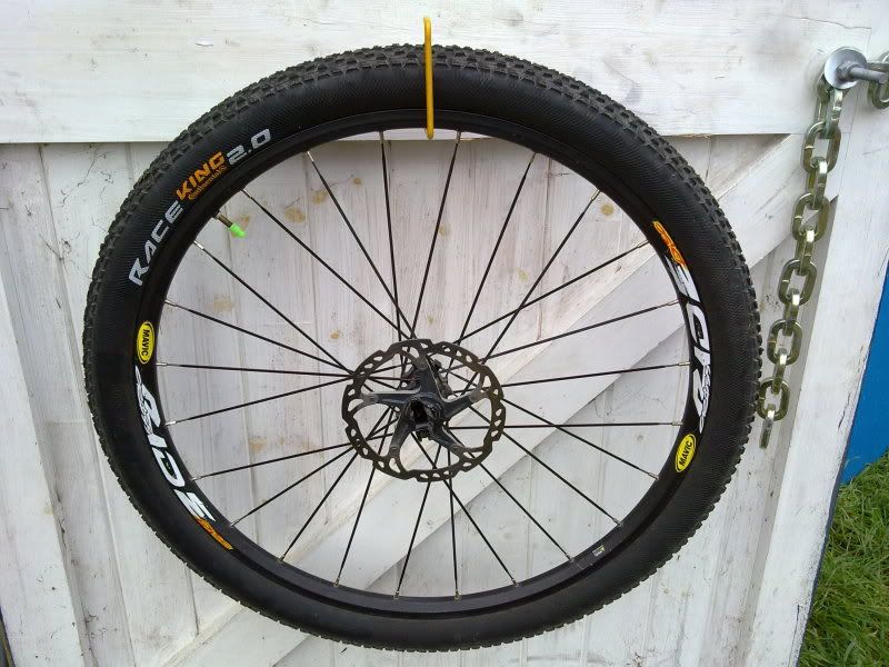 decclearout005-1.jpg