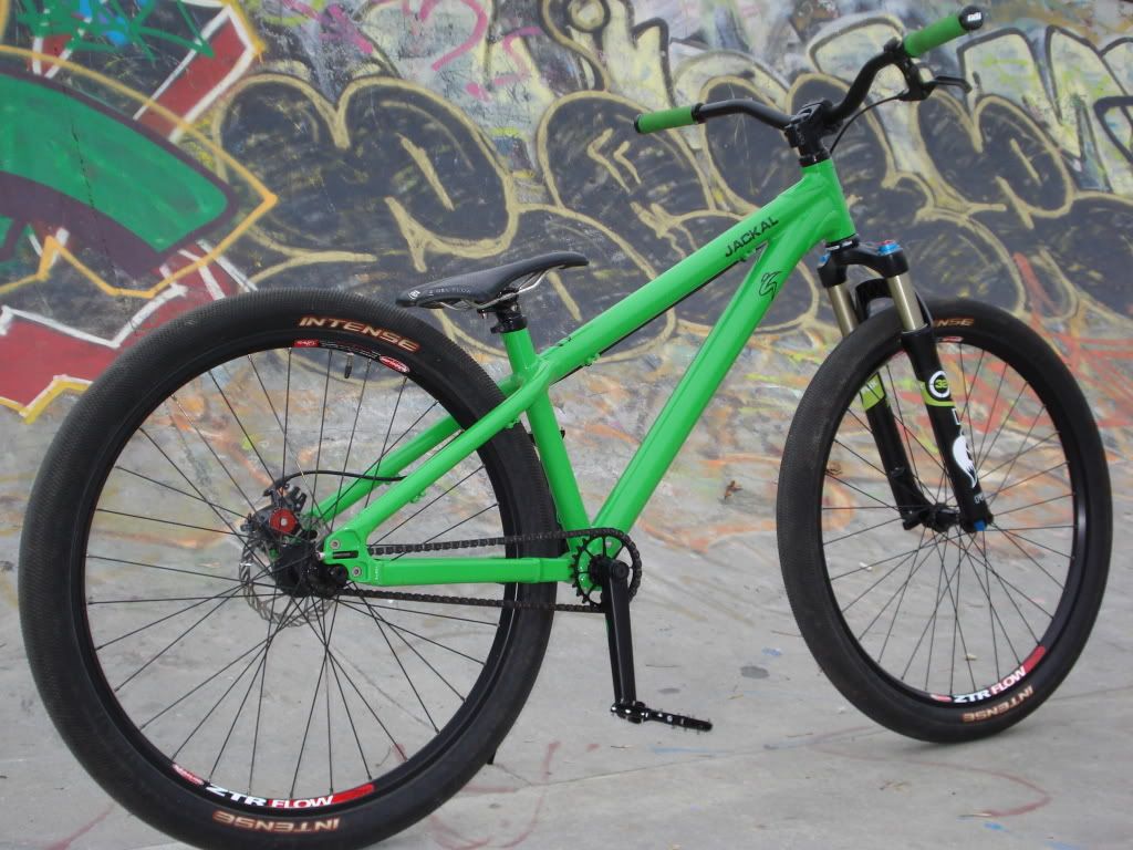2011jackal027.jpg