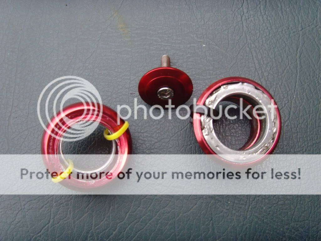 SNV34713.jpg