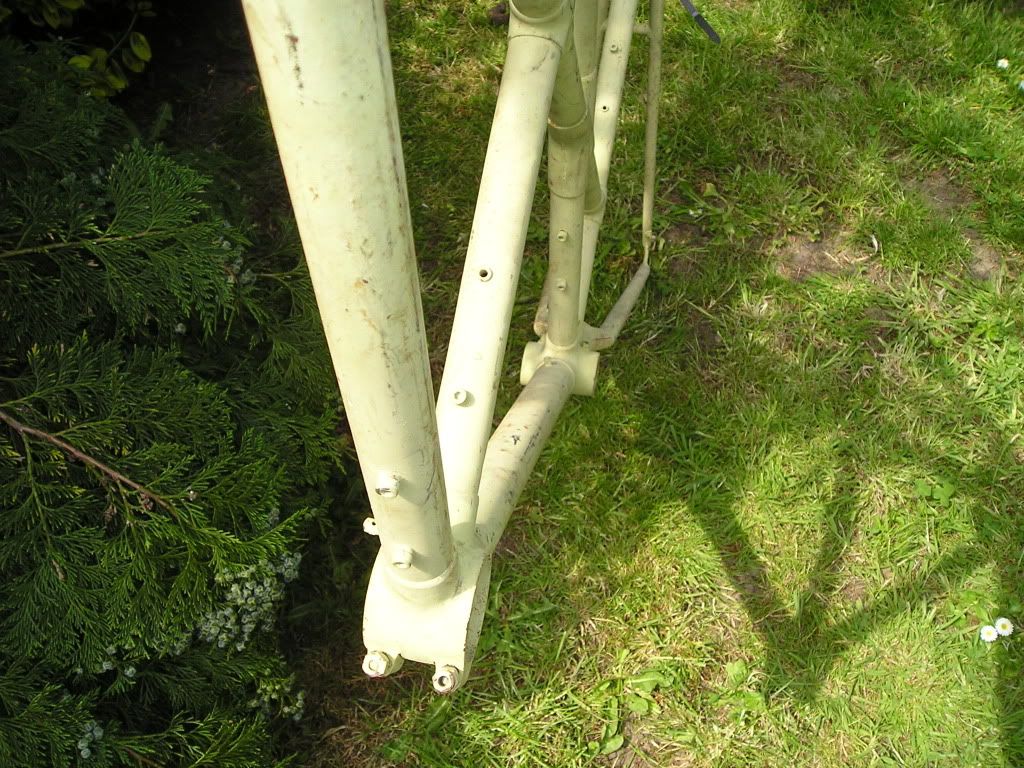 P1010009-1.jpg