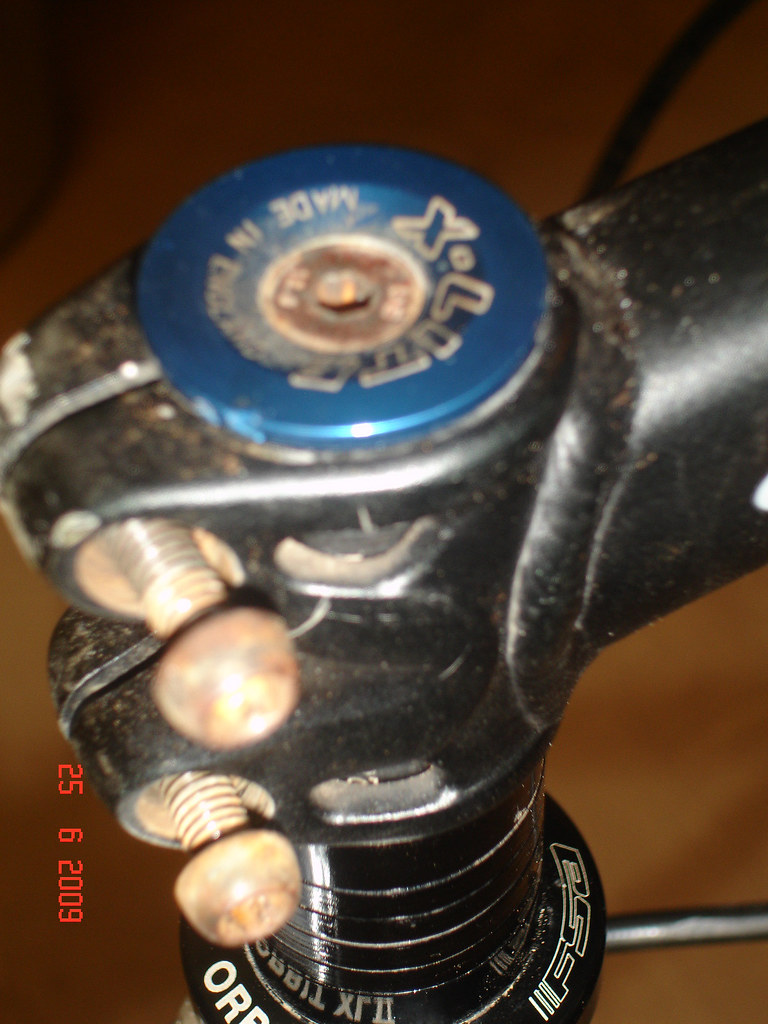 4457843517_fa1709f3d3_b.jpg
