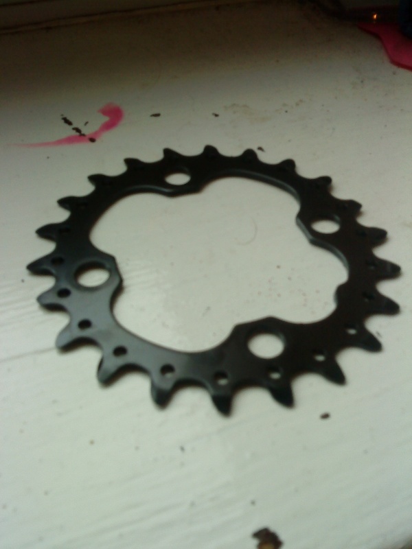 pbpic4629481.jpg
