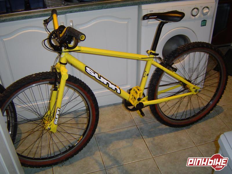 pbpic341862.jpg
