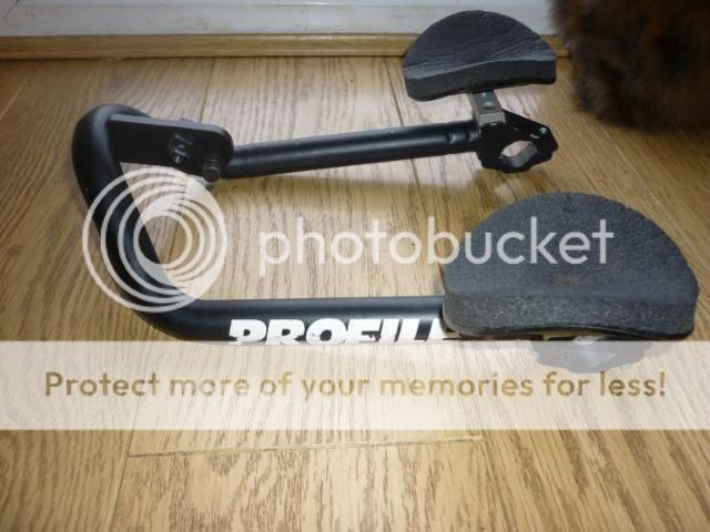 GazelleA53cm056.jpg