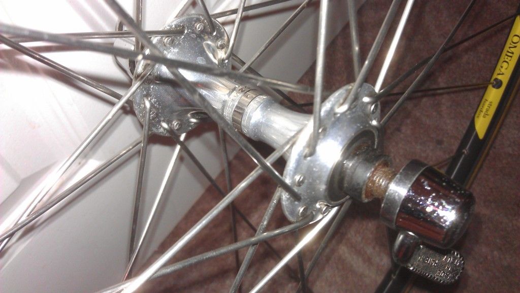 IMAG0382.jpg