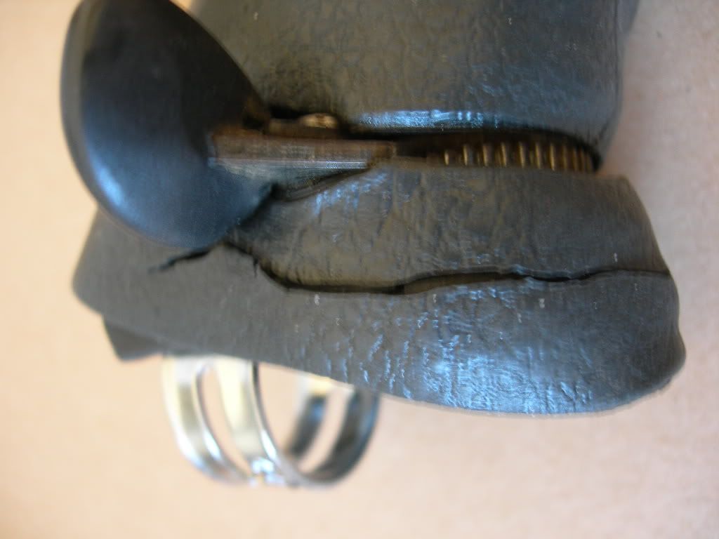 DSCN9989.jpg