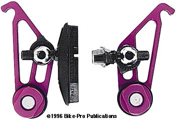 y1y_joe_rear_lav.jpg