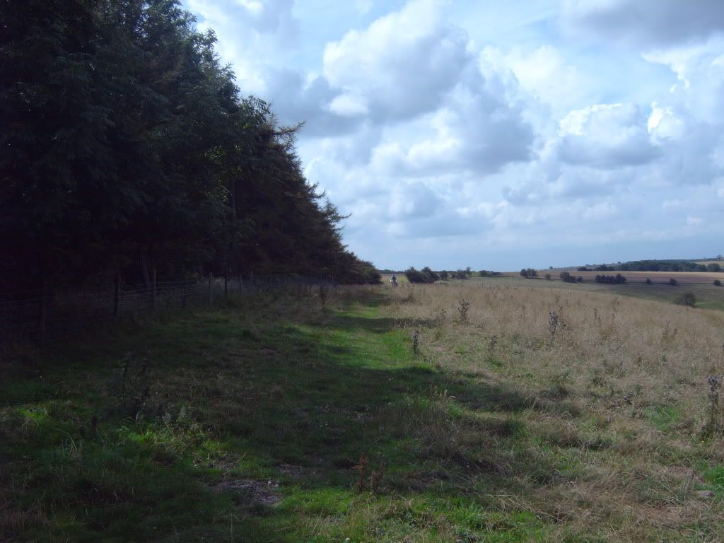 IMG00438.jpg