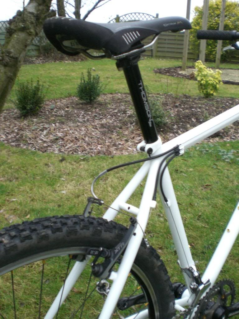 brandscortinacatsgrandbornandbikes098.jpg