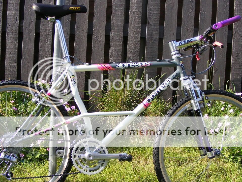 2009_0603astars0035.jpg