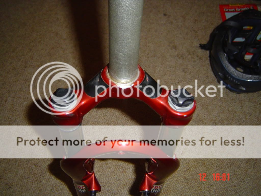 DSC01750.jpg