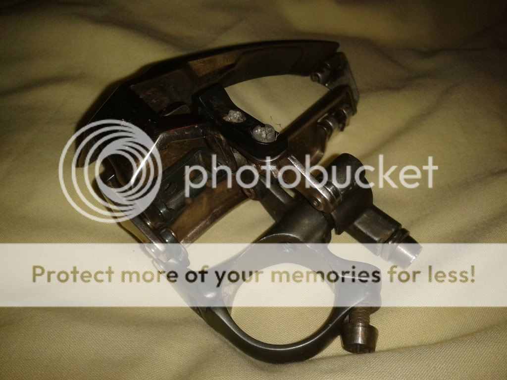 2012-03-11220845.jpg