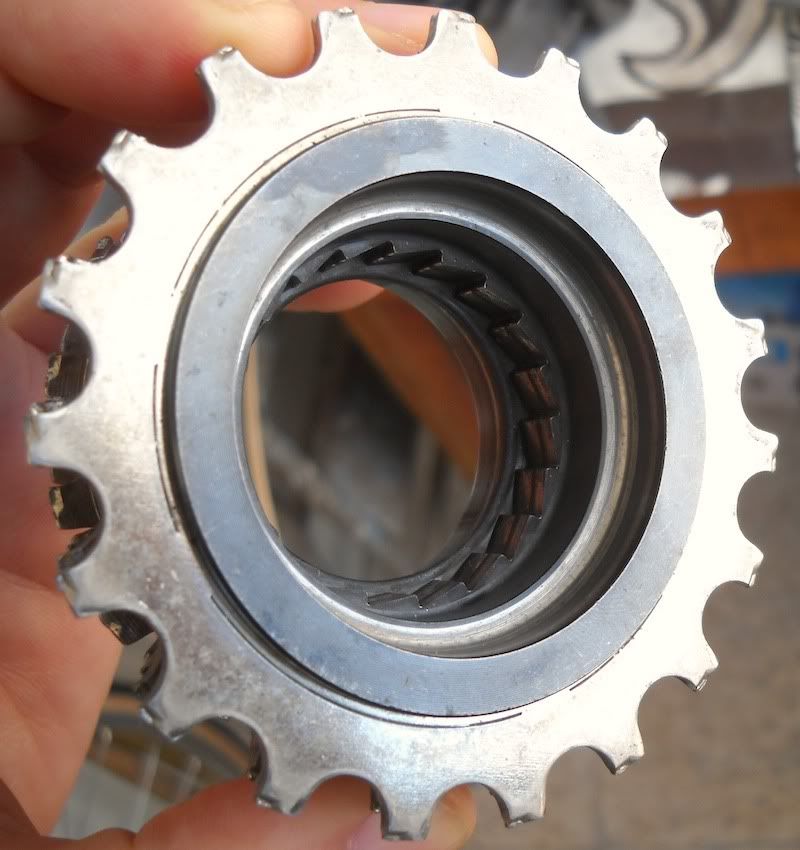 Freewheel05.jpg