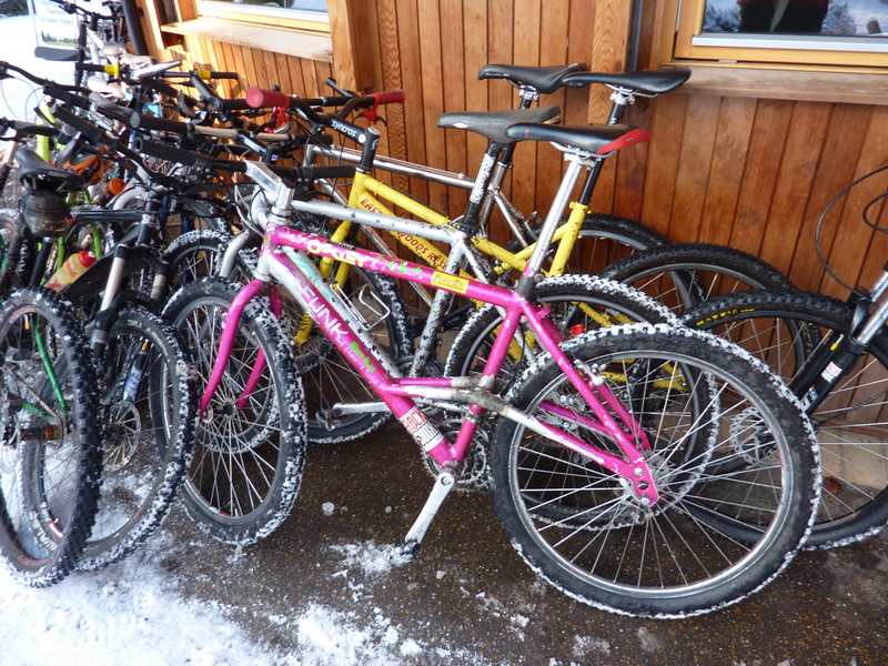 Thetford_Jan_2010_5.JPG