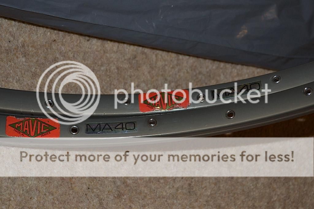 DSC_3399_zps5be67780.jpg