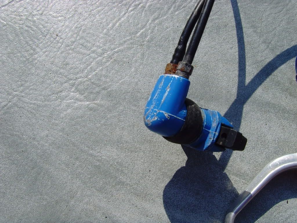 SNV35523.jpg