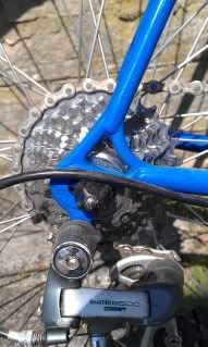 IMAG0451.jpg