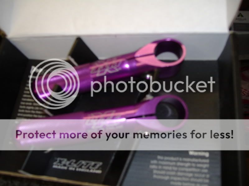 purplebarends.jpg