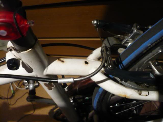 P1020199.jpg