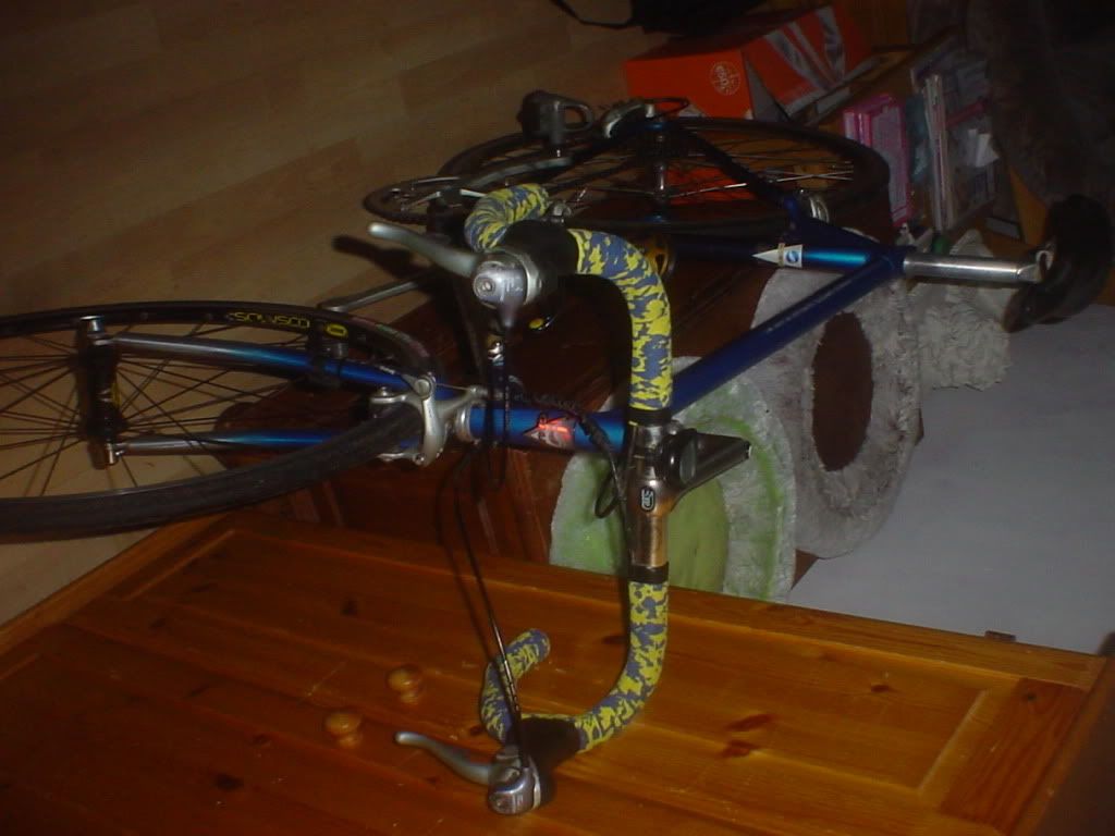 DSC00338.jpg