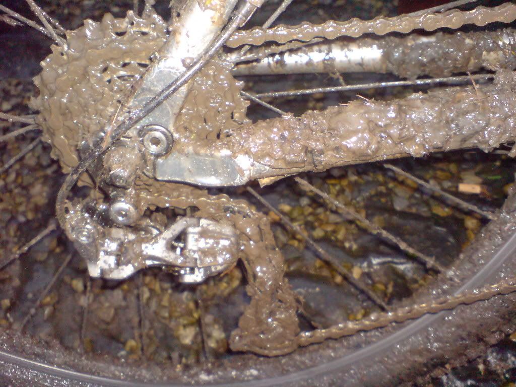 DSC01801.jpg
