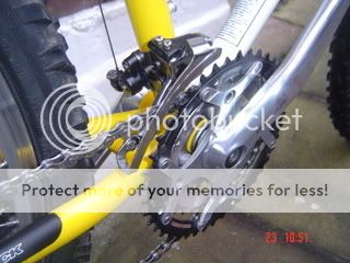 DSC01823-1.jpg