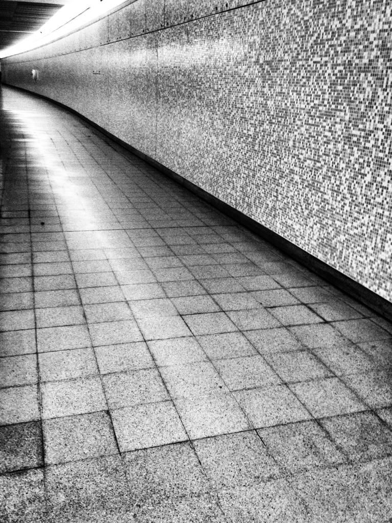 IMG_8282_Snapseed.jpg