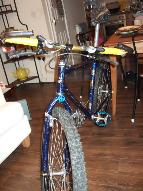 DSCF4819.jpg