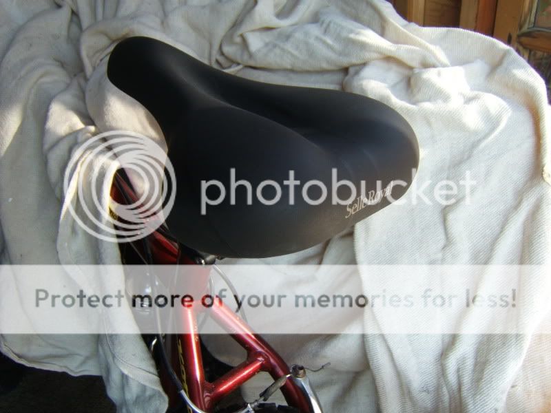 DSCF1246.jpg