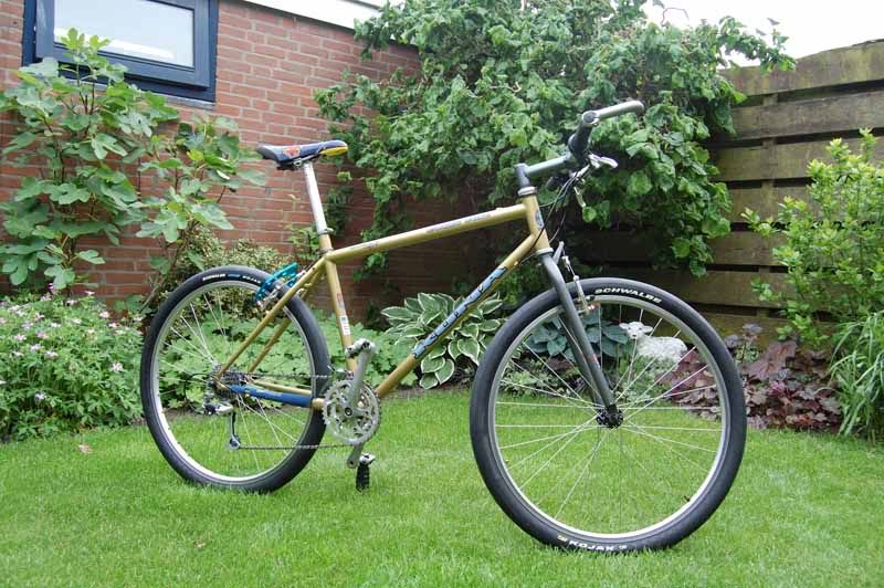 1996CinderCone557.jpg