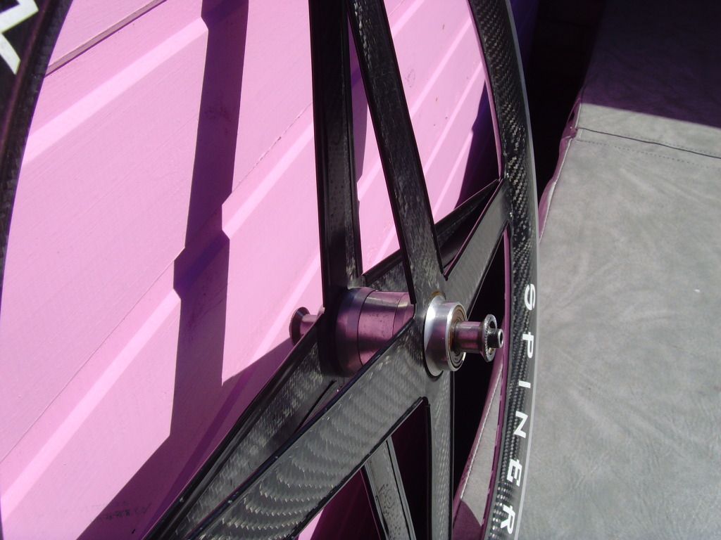 SNV36671.jpg