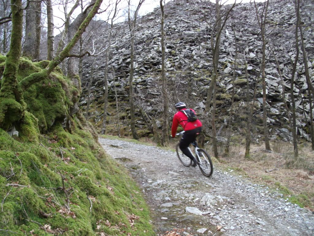 PICT0019.jpg