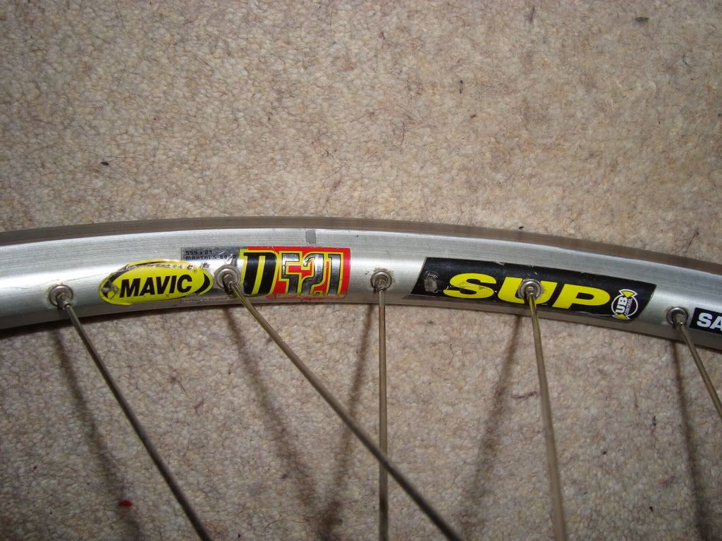 Adambike003-3.jpg