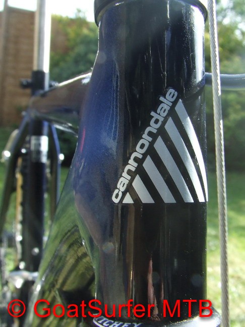 SM1000_14.jpg