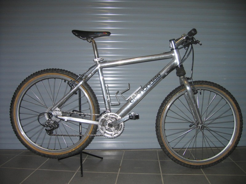 pbpic3167233.jpg